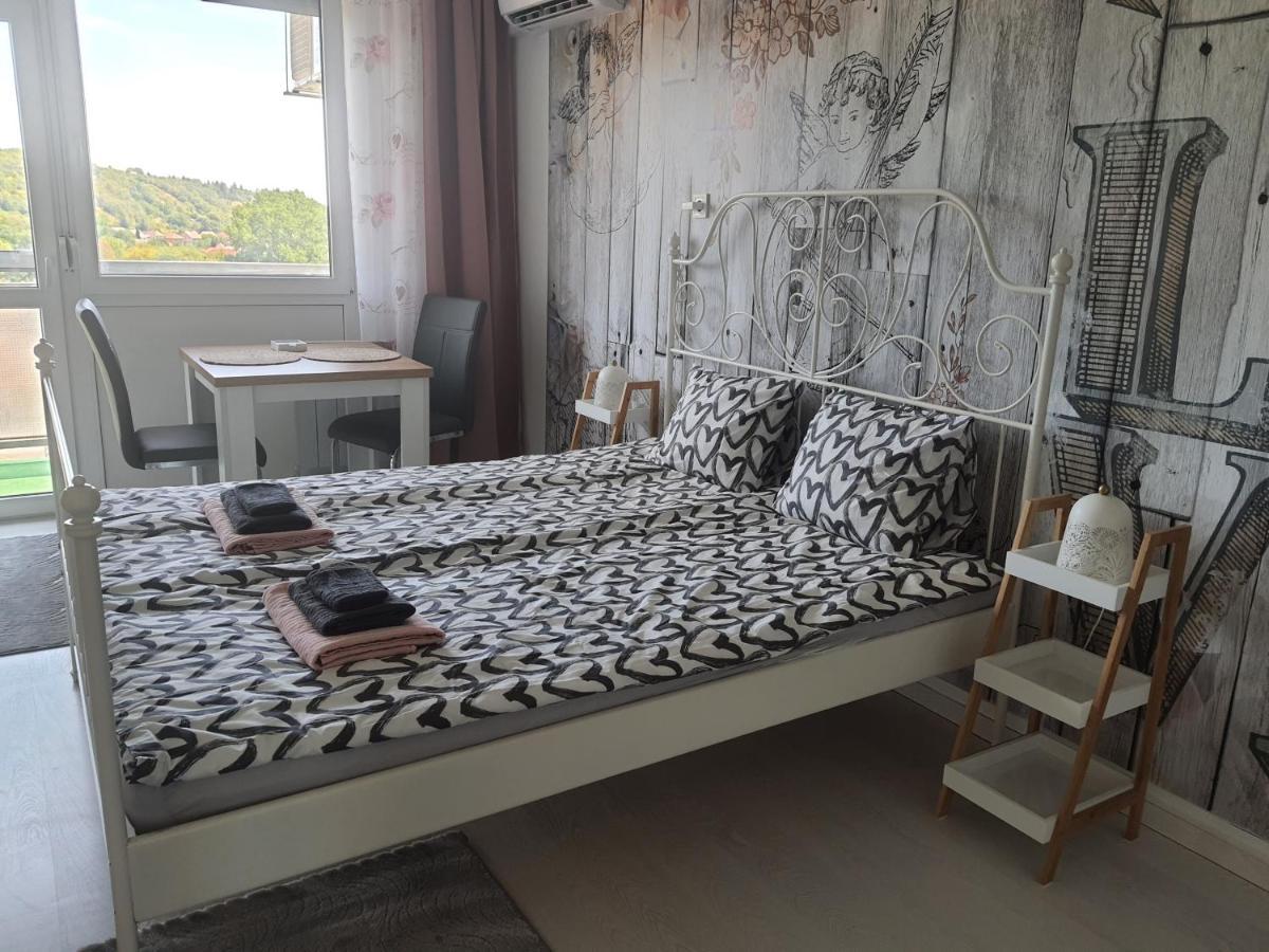 מישקולץ Hegyalja Apartman מראה חיצוני תמונה